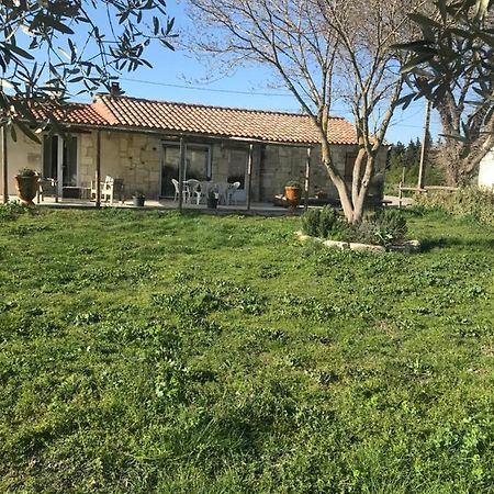 Mazet En Camargue Villa Arles Luaran gambar