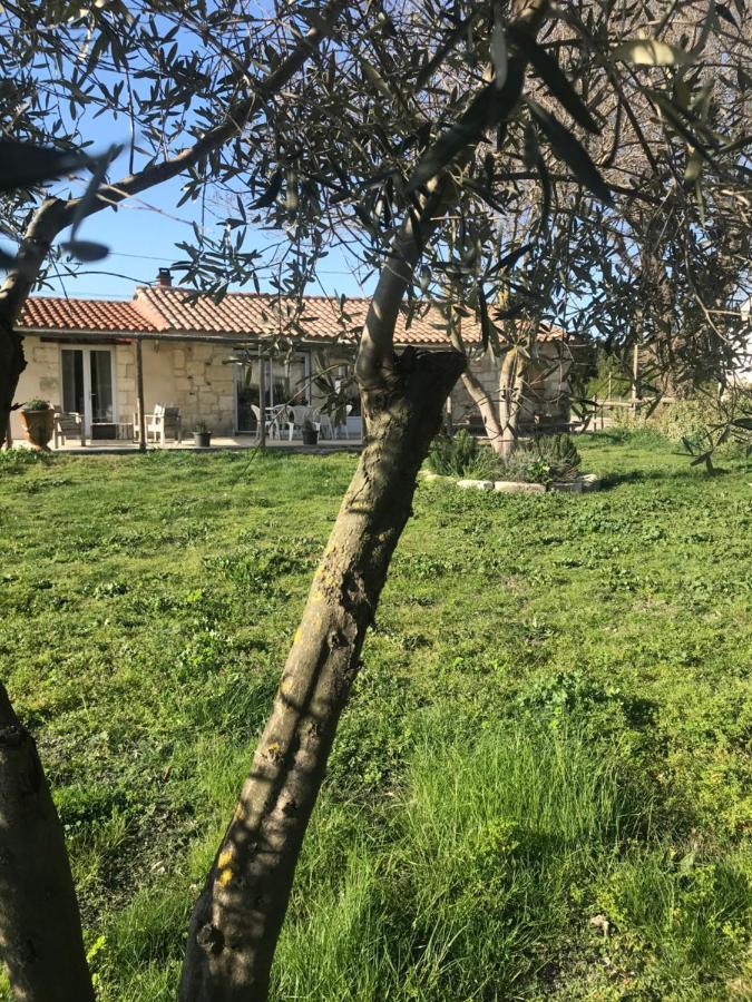 Mazet En Camargue Villa Arles Luaran gambar